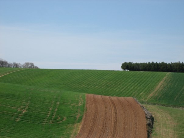 Galician Feilds on the way to Santiago