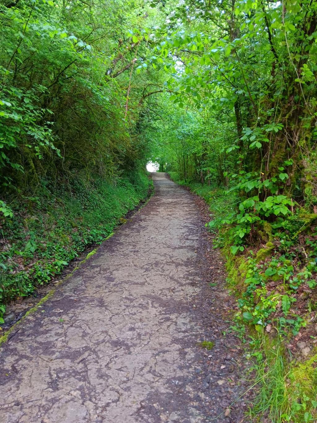 Pilgrimage on the Camino – Roncesvalles to&nbsp;Zubiri