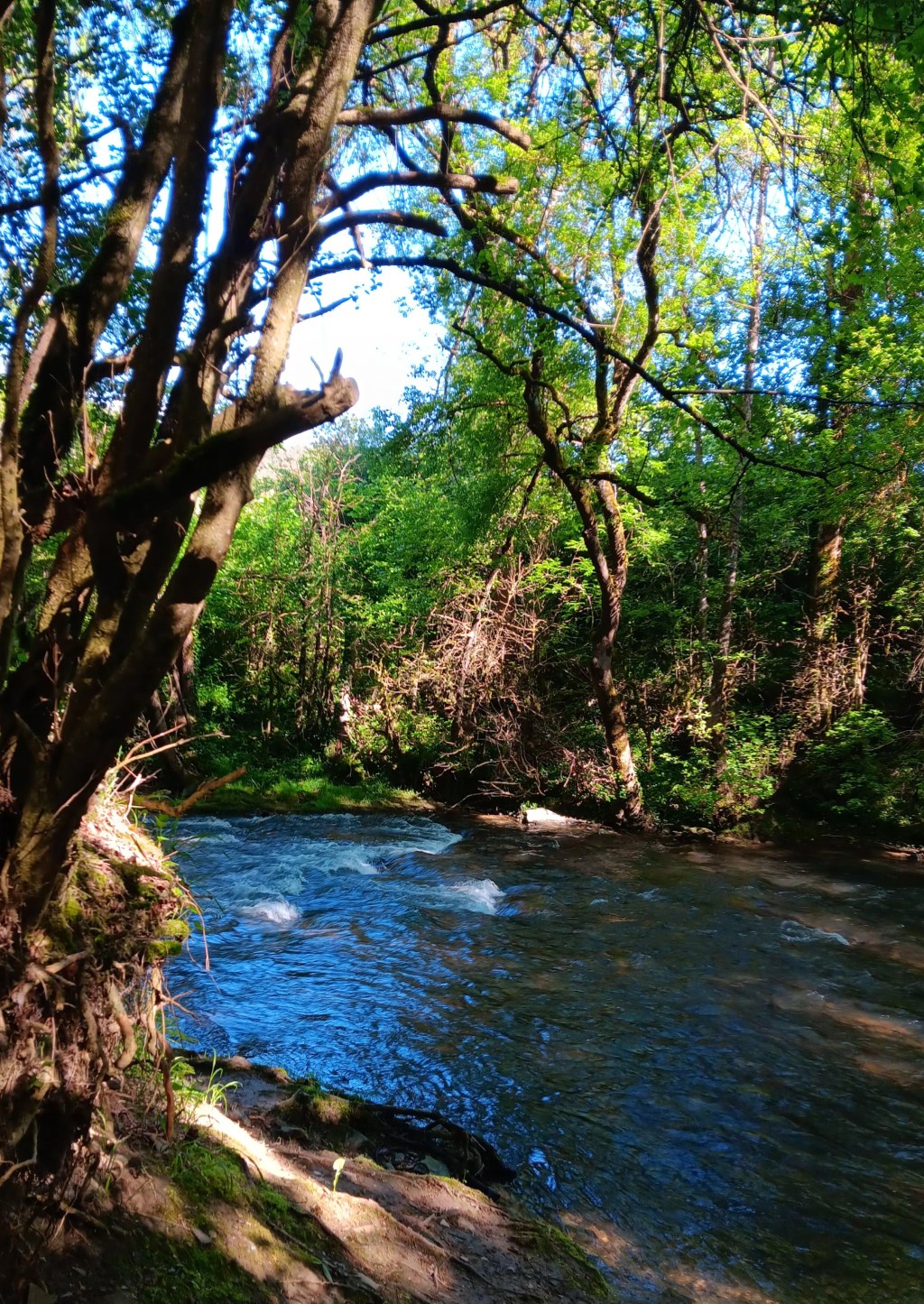 Pilgrimage on the Camino –  Zubiri to&nbsp;Pamplona