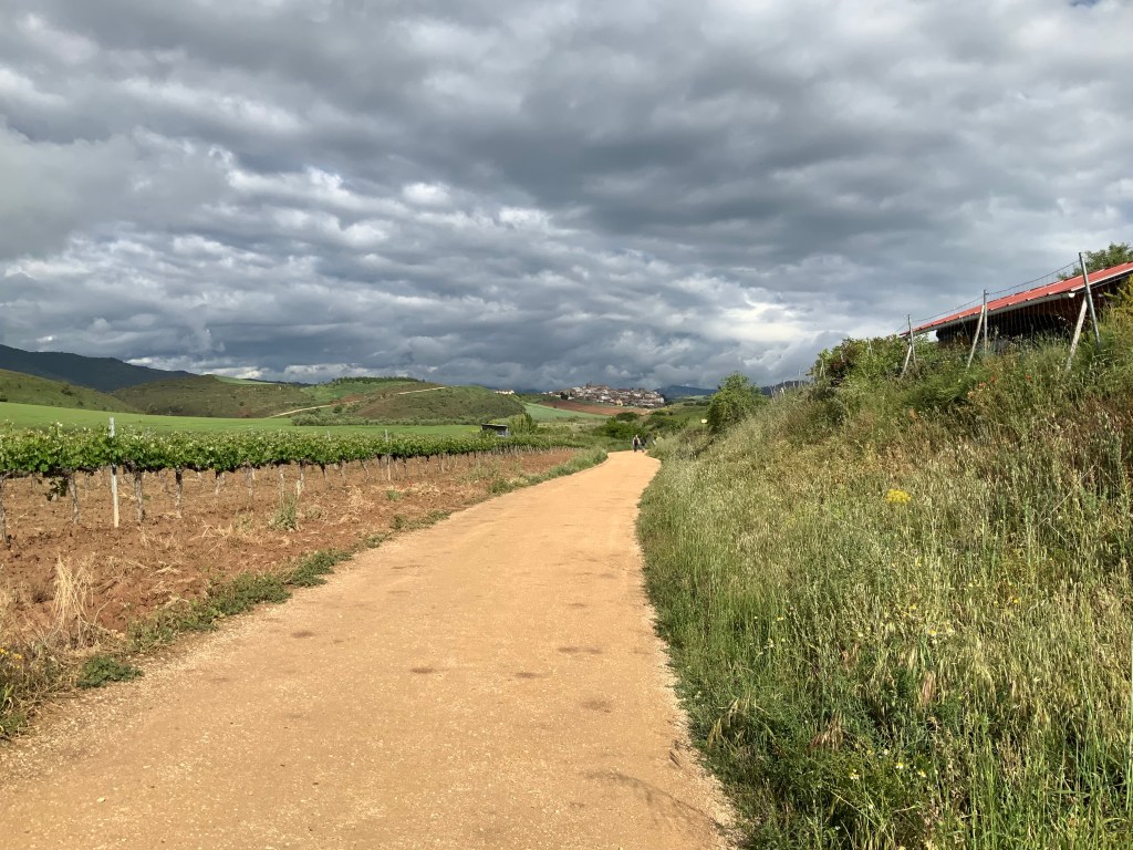 Pilgrimage on the Camino – Vineyards, Sin, and the Election of Donald&nbsp;Trump